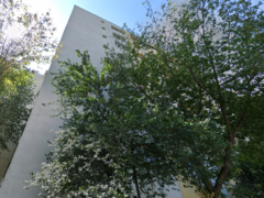 Chisinau Bd., Basarabia, Arena Nationala, 10 min. Metroul Costin Georgian