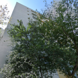 Chisinau Bd., Basarabia, Arena Nationala, 10 min. Metroul Costin Georgian